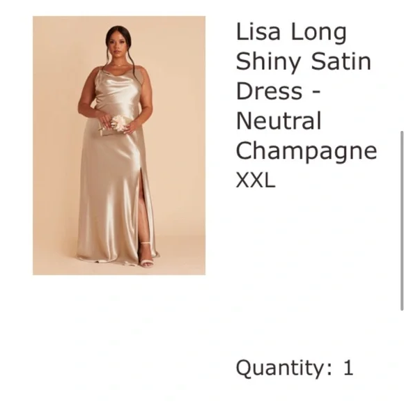 Birdy Grey | Dresses | Birdy Grey Lisa Shiny Satin Dress Neutral Champagne  | Poshmark
